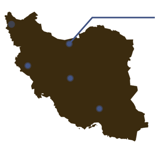 تیپولوژی